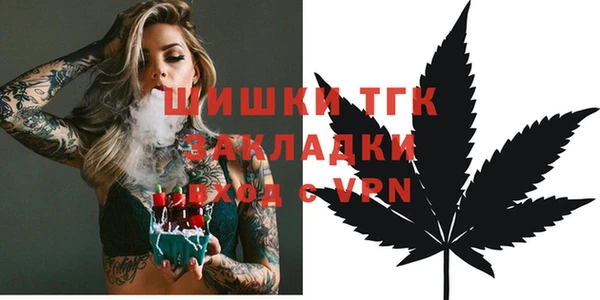 ECSTASY Бородино