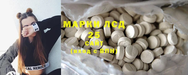 ECSTASY Бородино