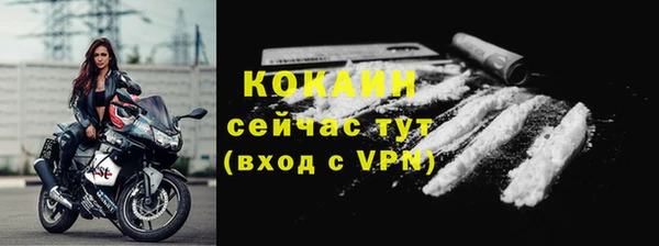 apvp Богородск