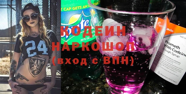 индика Богородицк