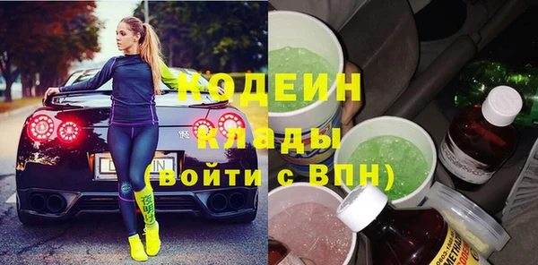 индика Богородицк