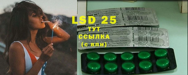 ECSTASY Бородино