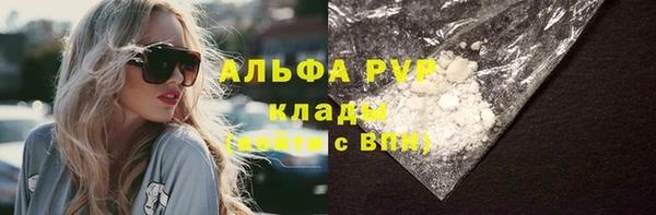 ECSTASY Бородино